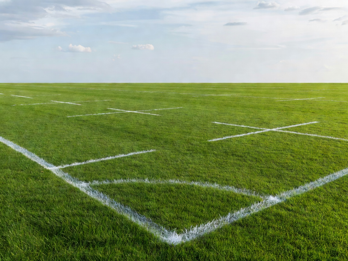 Rugby pitch grass with chalk lines under open sky